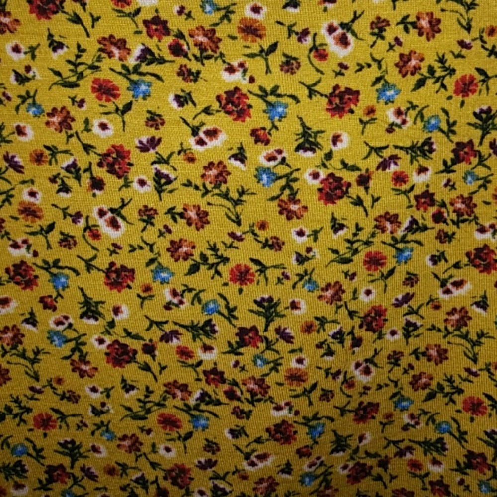 Clothes - Picture 2 of 3